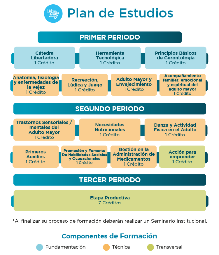 Plan de estudios tecnico laboral en cuidado adulto mayor