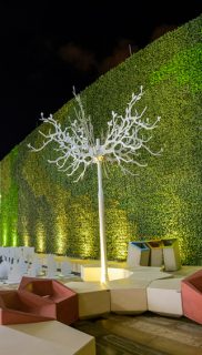 libertadores-cartagena7