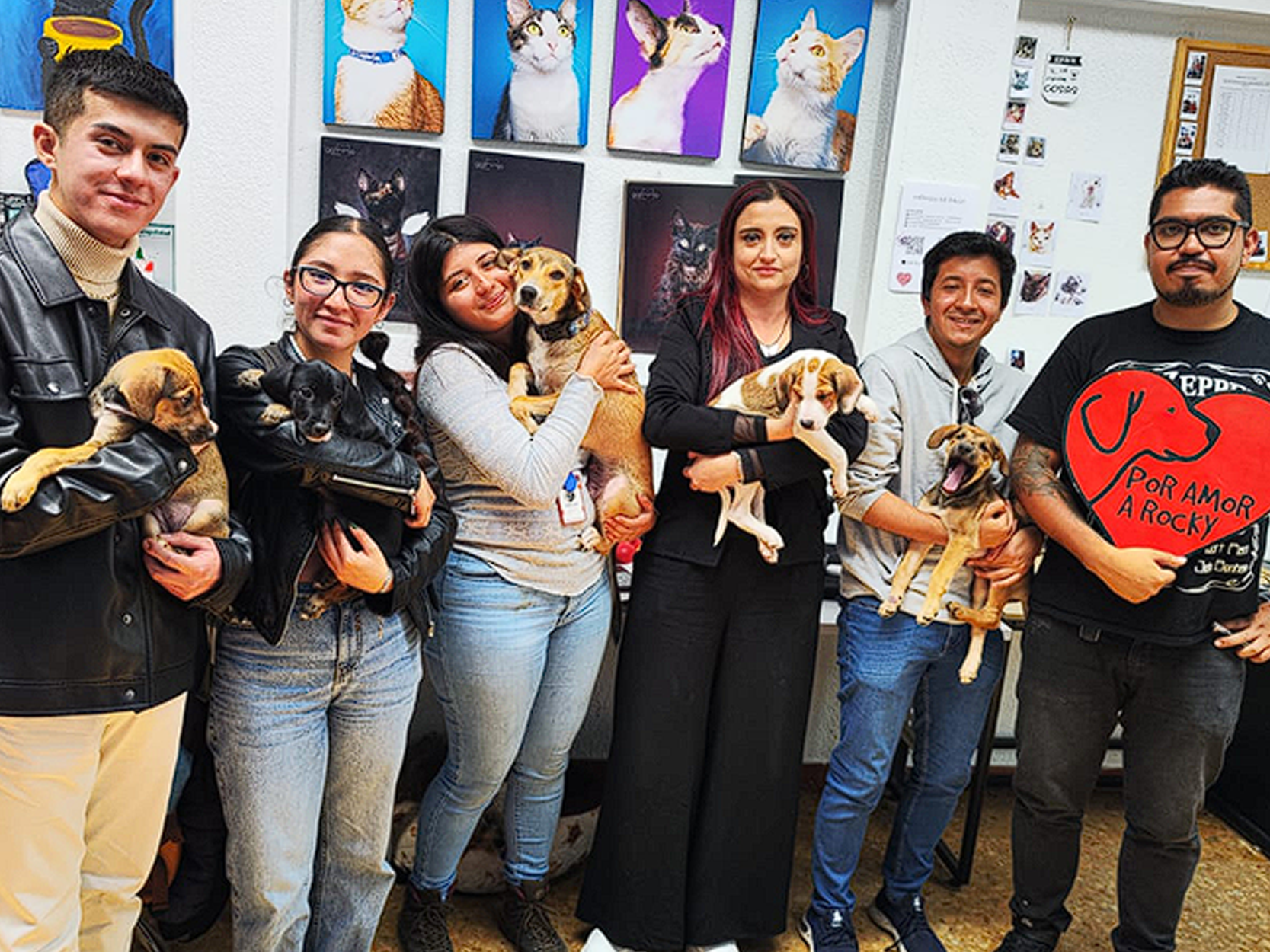 Transferencia del conocimiento